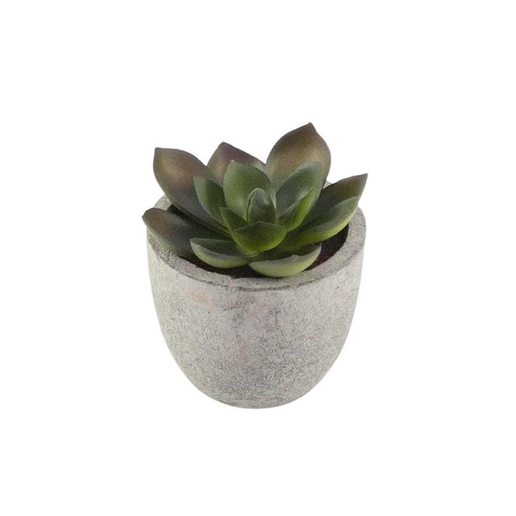 CAMAS - Artificial Succulent Plant in Pulp Pot